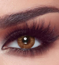 Bella_One_Day_Almond_Brown 3