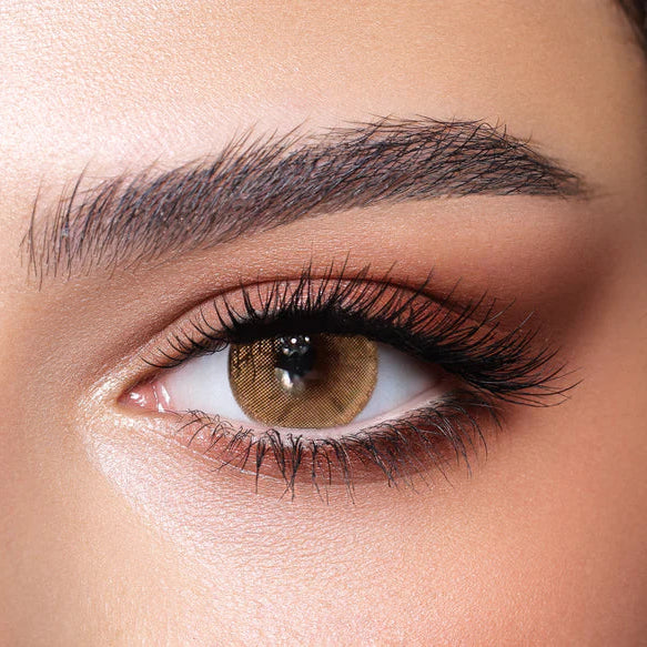 Close-up of a brown eye with detailed makeup. Bella One Day Hazel Beige.
