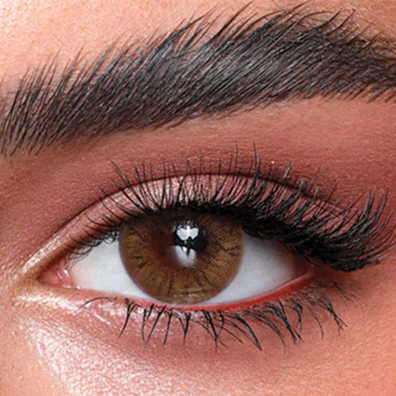 Close-up of a brown eye with detailed eyelashes and eyebrow Bella One Day Hazel Honey