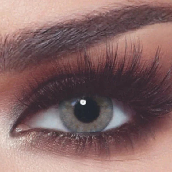 Bella One Day Rosewood 3