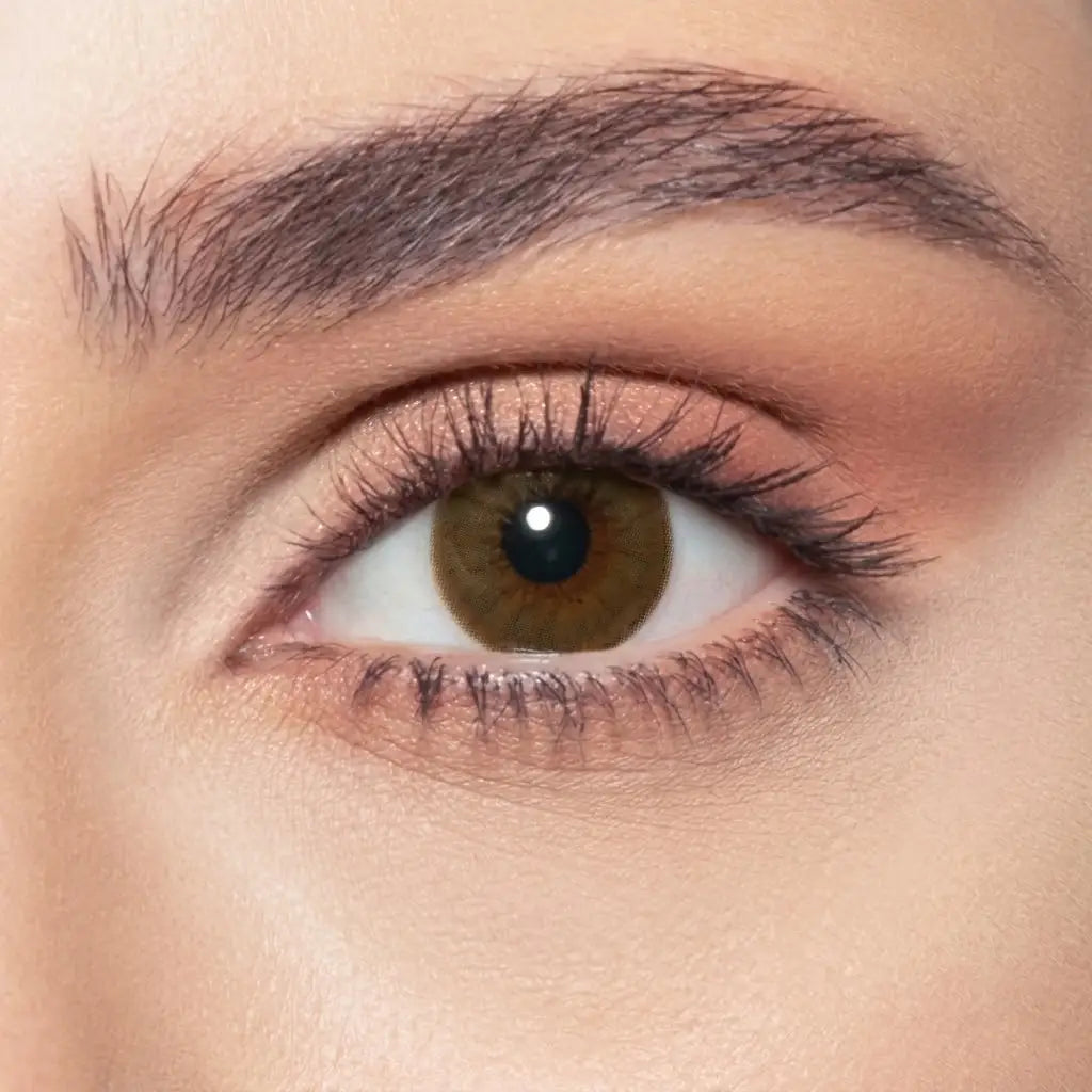 elite-brown-shadow