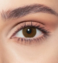 elite-brown-shadow
