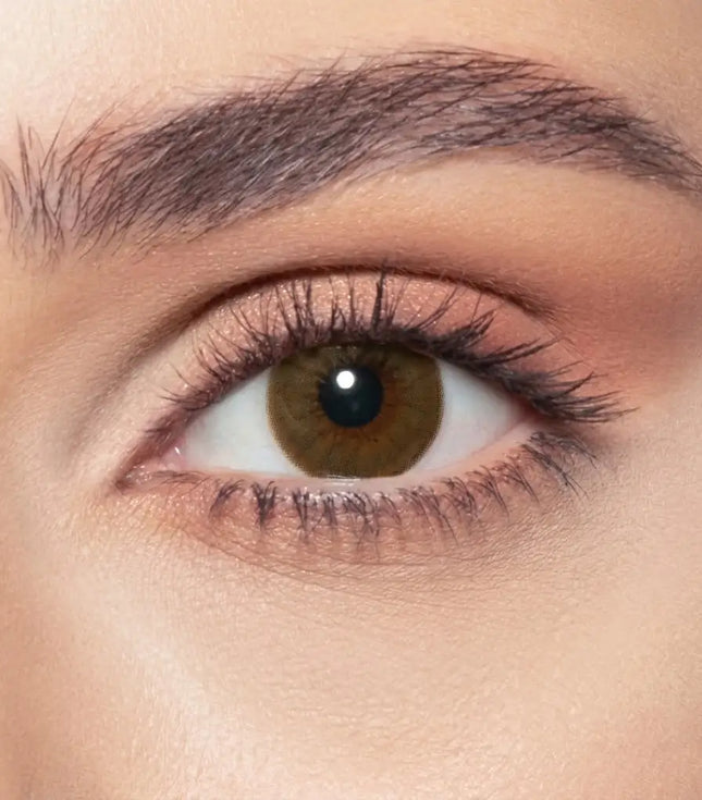 elite-brown-shadow