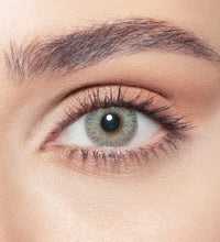 elite-gray-olive