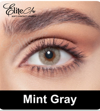 Elite Mint Gray